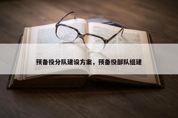 预备役分队建设方案，预备役部队组建-第1张图片-冷动云