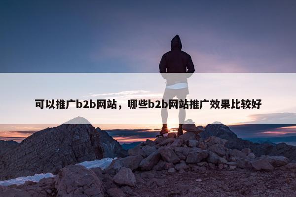 可以推广b2b网站，哪些b2b网站推广效果比较好-第1张图片-冷动云