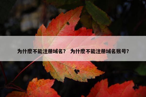 为什麽不能注册域名？ 为什麽不能注册域名账号？-第1张图片-冷动云