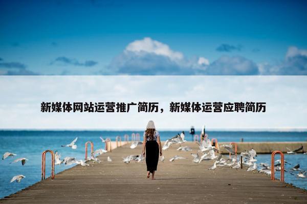 新媒体网站运营推广简历，新媒体运营应聘简历-第1张图片-冷动云