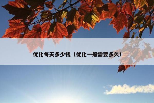 优化每天多少钱（优化一般需要多久）-第1张图片-冷动云