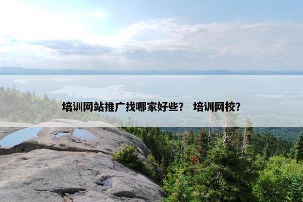 培训网站推广找哪家好些？ 培训网校？-第1张图片-冷动云