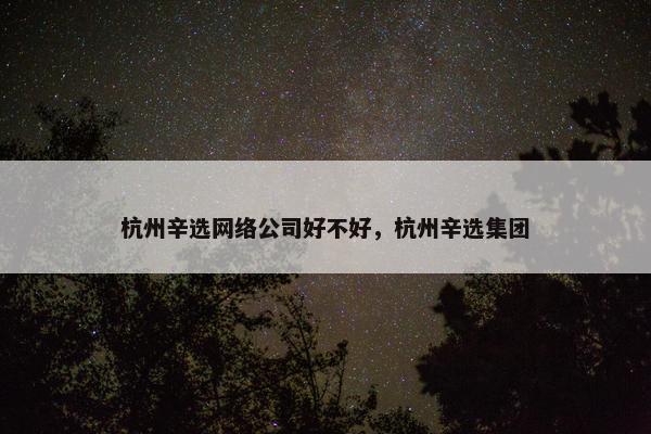杭州辛选网络公司好不好，杭州辛选集团-第1张图片-冷动云