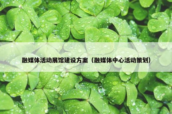 融媒体活动展馆建设方案（融媒体中心活动策划）-第1张图片-冷动云