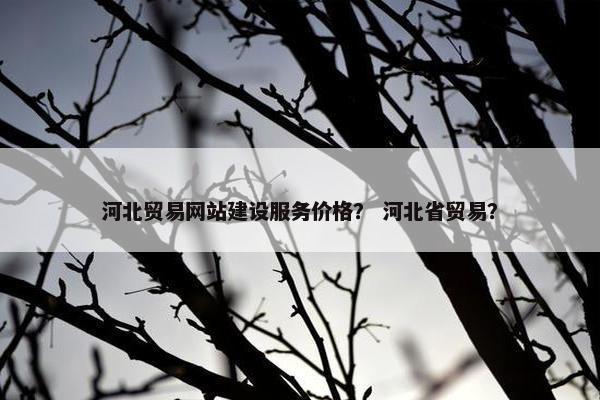 河北贸易网站建设服务价格？ 河北省贸易？-第1张图片-冷动云