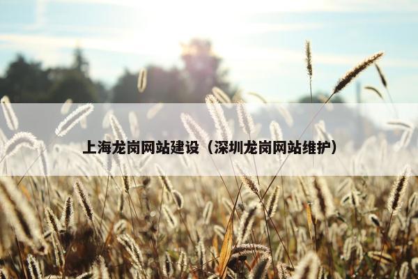 上海龙岗网站建设（深圳龙岗网站维护）-第1张图片-冷动云