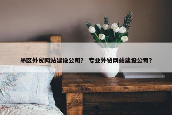 墨区外贸网站建设公司？ 专业外贸网站建设公司？-第1张图片-冷动云
