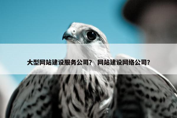 大型网站建设服务公司？ 网站建设网络公司？-第1张图片-冷动云