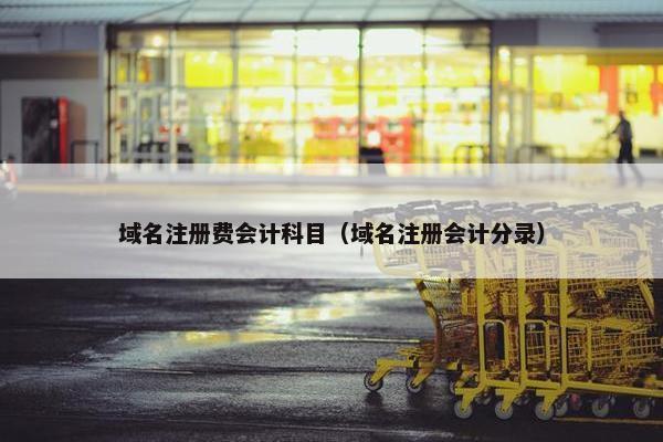 域名注册费会计科目（域名注册会计分录）-第1张图片-冷动云