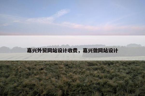 嘉兴外贸网站设计收费，嘉兴做网站设计-第1张图片-冷动云