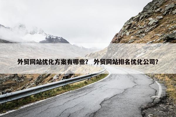 外贸网站优化方案有哪些？ 外贸网站排名优化公司？-第1张图片-冷动云