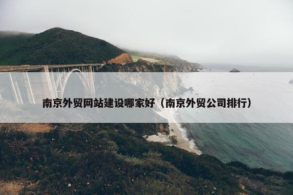 南京外贸网站建设哪家好（南京外贸公司排行）-第1张图片-冷动云