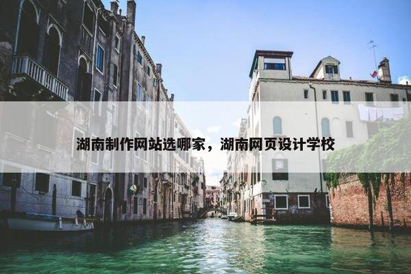 湖南制作网站选哪家，湖南网页设计学校-第1张图片-冷动云