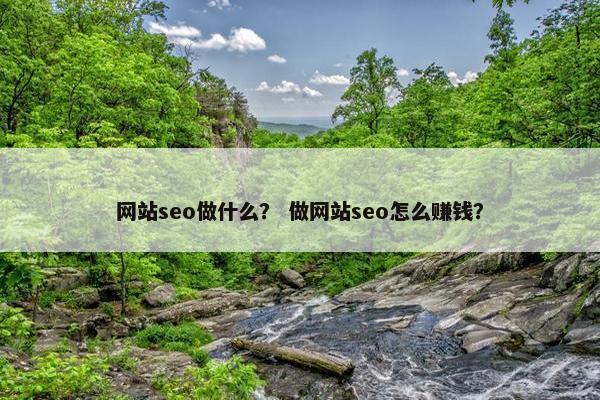 网站seo做什么？ 做网站seo怎么赚钱？-第1张图片-冷动云