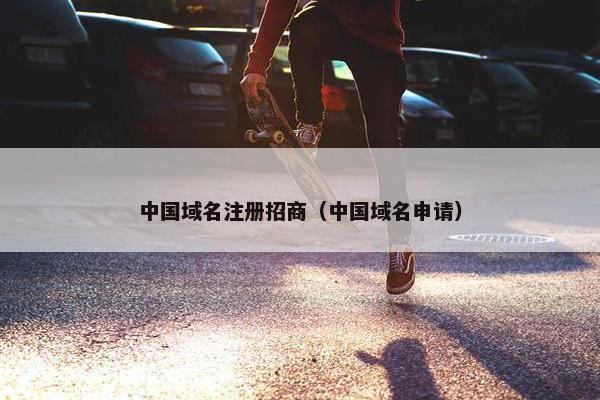 中国域名注册招商（中国域名申请）-第1张图片-冷动云