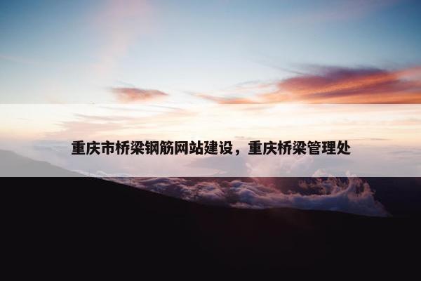 重庆市桥梁钢筋网站建设，重庆桥梁管理处-第1张图片-冷动云