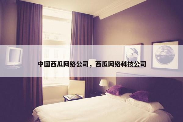 中国西瓜网络公司，西瓜网络科技公司-第1张图片-冷动云