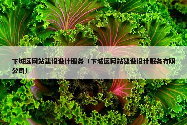下城区网站建设设计服务（下城区网站建设设计服务有限公司）-第1张图片-冷动云