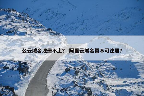 公云域名注册不上？ 阿里云域名暂不可注册？-第1张图片-冷动云