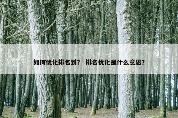 如何优化排名到？ 排名优化是什么意思？-第1张图片-冷动云