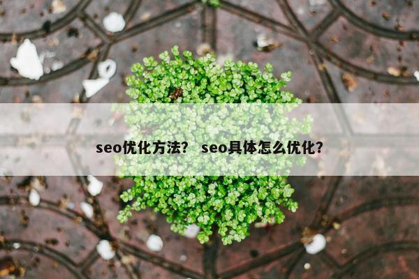 seo优化方法？ seo具体怎么优化？-第1张图片-冷动云