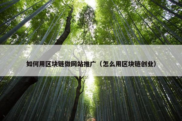 如何用区块链做网站推广（怎么用区块链创业）-第1张图片-冷动云