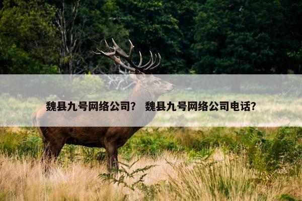 魏县九号网络公司？ 魏县九号网络公司电话？-第1张图片-冷动云