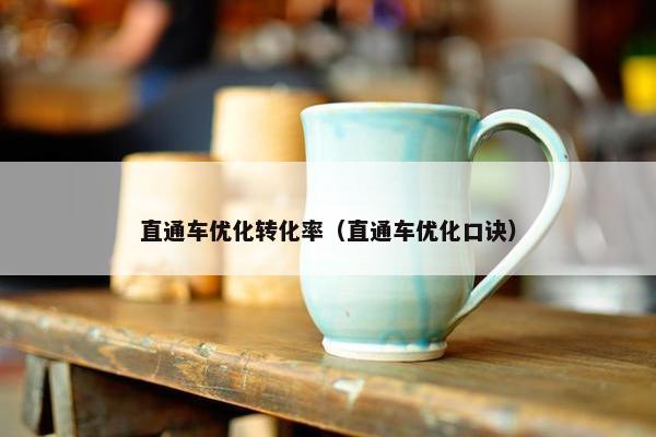 直通车优化转化率（直通车优化口诀）-第1张图片-冷动云