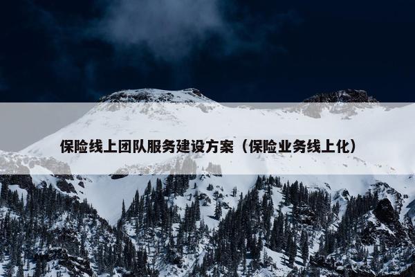 保险线上团队服务建设方案（保险业务线上化）-第1张图片-冷动云