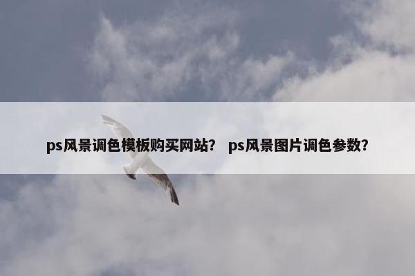 ps风景调色模板购买网站？ ps风景图片调色参数？-第1张图片-冷动云