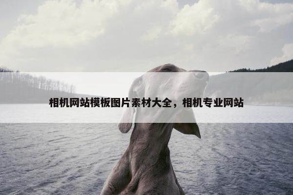相机网站模板图片素材大全，相机专业网站-第1张图片-冷动云