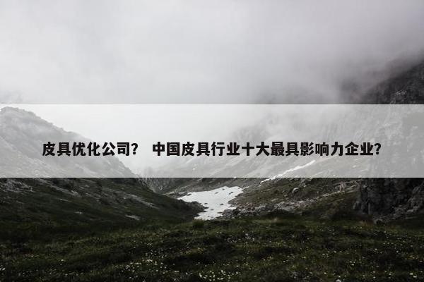 皮具优化公司？ 中国皮具行业十大最具影响力企业？-第1张图片-冷动云