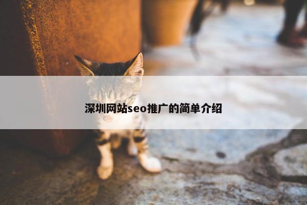 深圳网站seo推广的简单介绍-第1张图片-冷动云