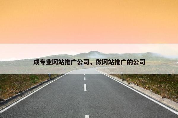 成专业网站推广公司，做网站推广的公司-第1张图片-冷动云