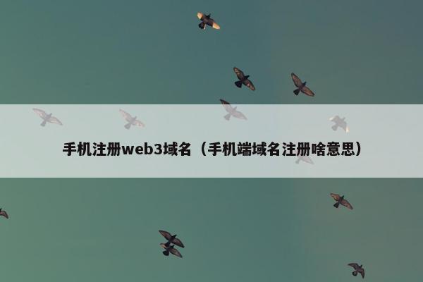手机注册web3域名（手机端域名注册啥意思）-第1张图片-冷动云