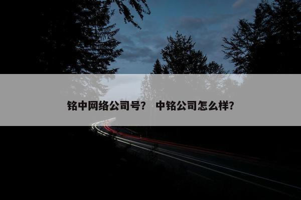 铭中网络公司号？ 中铭公司怎么样？-第1张图片-冷动云