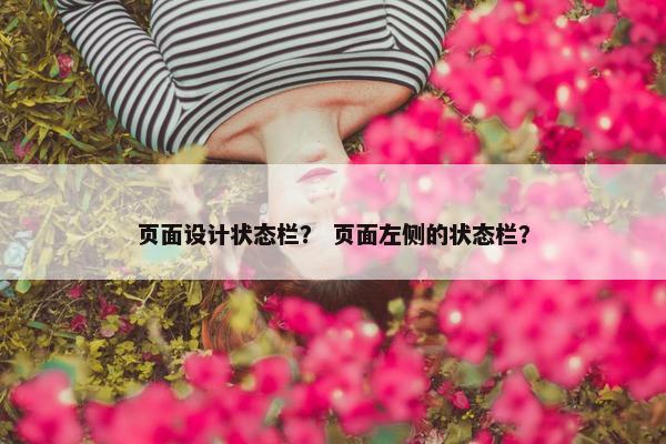 页面设计状态栏？ 页面左侧的状态栏？-第1张图片-冷动云
