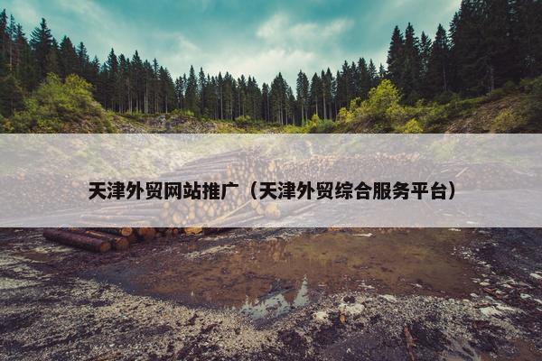 天津外贸网站推广（天津外贸综合服务平台）-第1张图片-冷动云