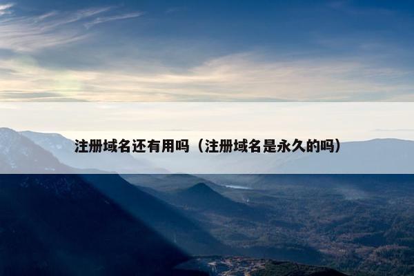 注册域名还有用吗（注册域名是永久的吗）-第1张图片-冷动云