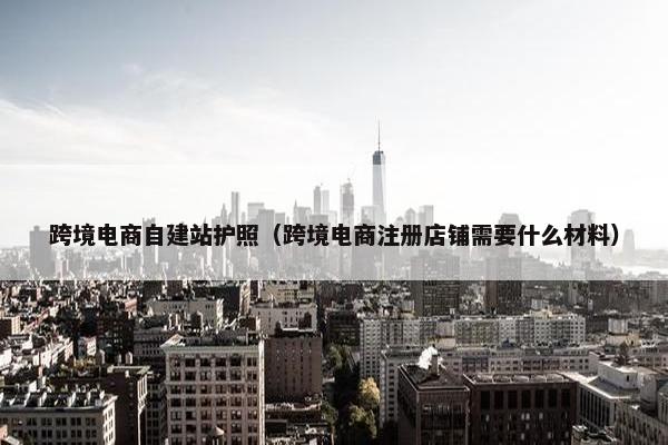 跨境电商自建站护照（跨境电商注册店铺需要什么材料）-第1张图片-冷动云