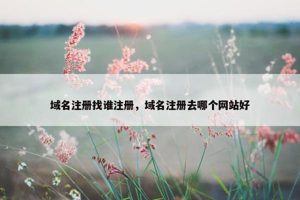 域名注册找谁注册，域名注册去哪个网站好-第1张图片-冷动云