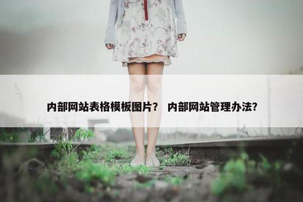 内部网站表格模板图片？ 内部网站管理办法？-第1张图片-冷动云
