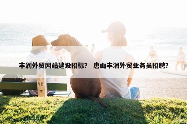 丰润外贸网站建设招标？ 唐山丰润外贸业务员招聘？-第1张图片-冷动云