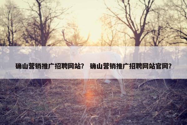 确山营销推广招聘网站？ 确山营销推广招聘网站官网？-第1张图片-冷动云