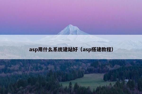 asp用什么系统建站好（asp搭建教程）-第1张图片-冷动云