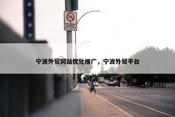 宁波外贸网站优化推广，宁波外贸平台-第1张图片-冷动云
