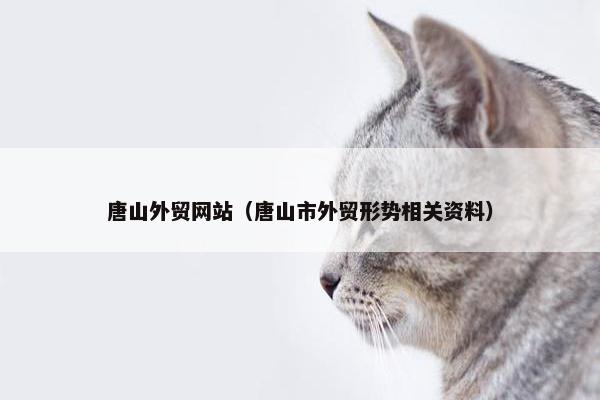 唐山外贸网站（唐山市外贸形势相关资料）-第1张图片-冷动云