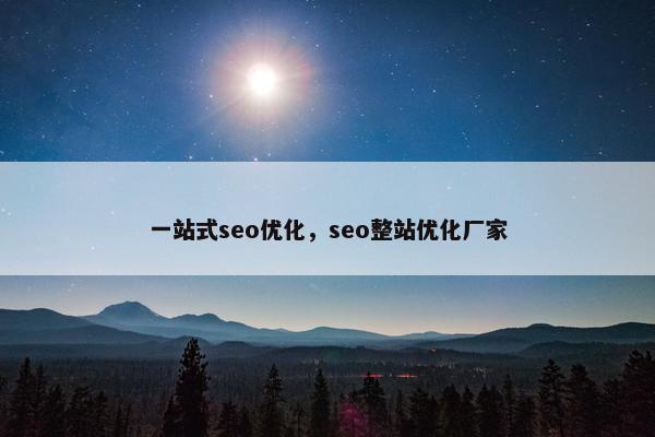 一站式seo优化，seo整站优化厂家-第1张图片-冷动云