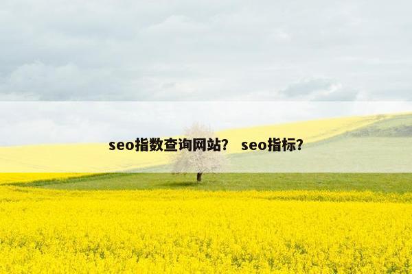 seo指数查询网站？ seo指标？-第1张图片-冷动云