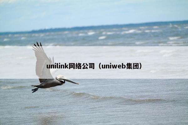 unilink网络公司（uniweb集团）-第1张图片-冷动云